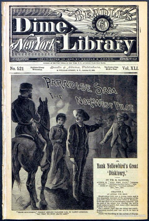 Beadle's New York Dime Library No. 521