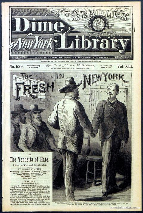 Beadle's New York Dime Library, No. 529