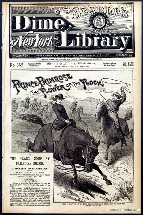 Beadle's Dime Library No. 552