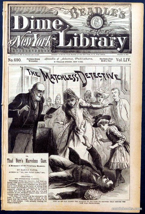 Beadle's New York Dime Library, No. 690