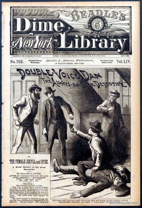 Beadle's New York Dime Library No. 702