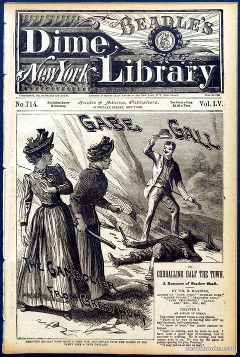 Beadle's Dime Library No. 714