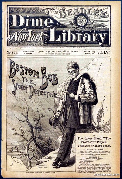 Beadle's Dime Library No. 719