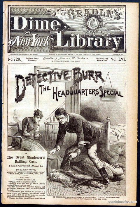 Beadle's Dime Library No. 728