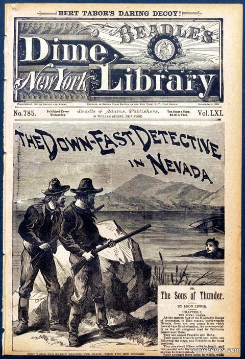 Beadle's New York Dime Library No. 785