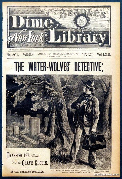 Beadle's Dime Library No. 801