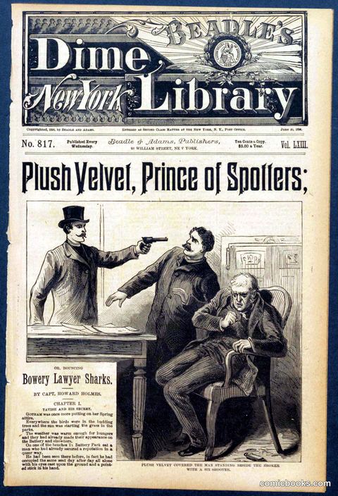 Beadle's New York Dime Library No. 817