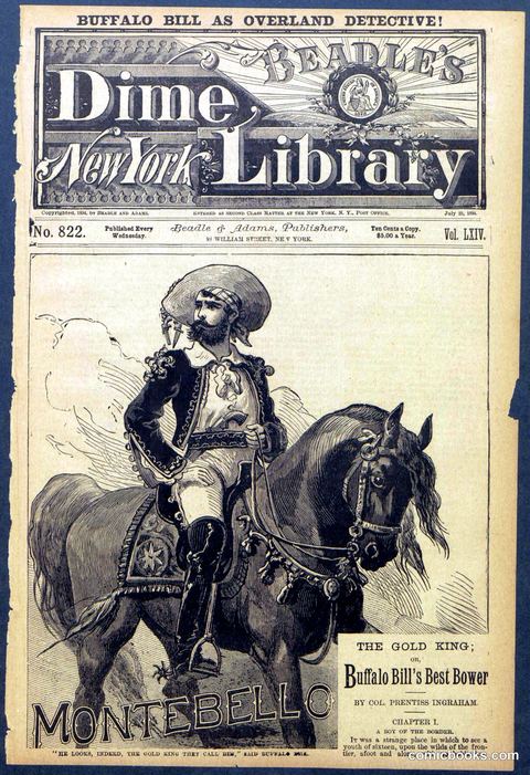 Beadle's Dime Library No. 822