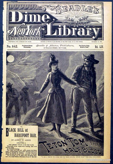 Beadle's New York Dime Library No. 842