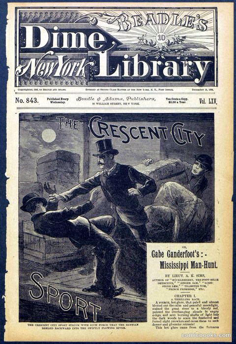 Beadle's New York Dime Library No. 843