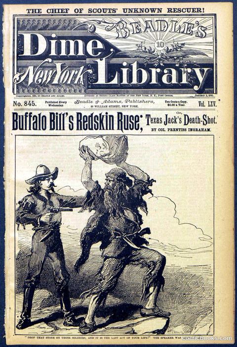 Beadle's Dime Library No. 845