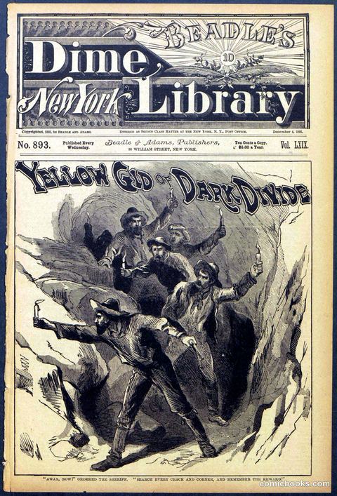 Beadle's Dime Library No. 893