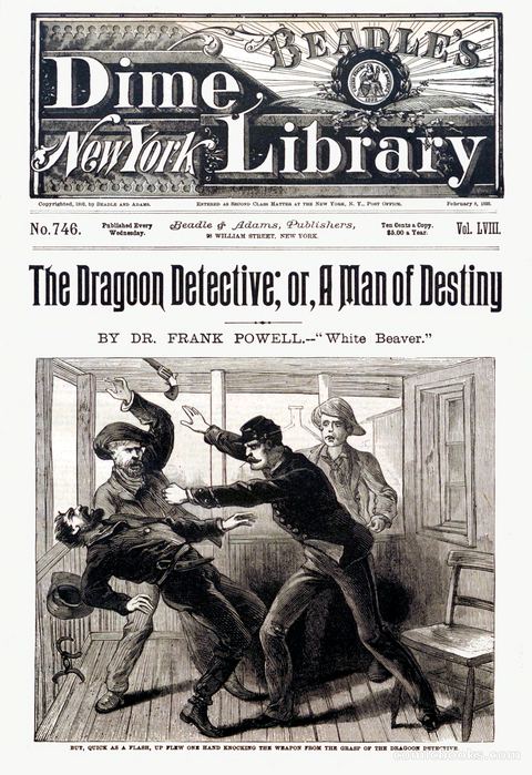 Beadle's New York Dime Library, No. 746
