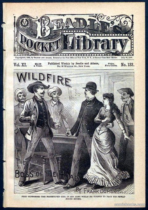 Beadle's Pocket Library No. 133