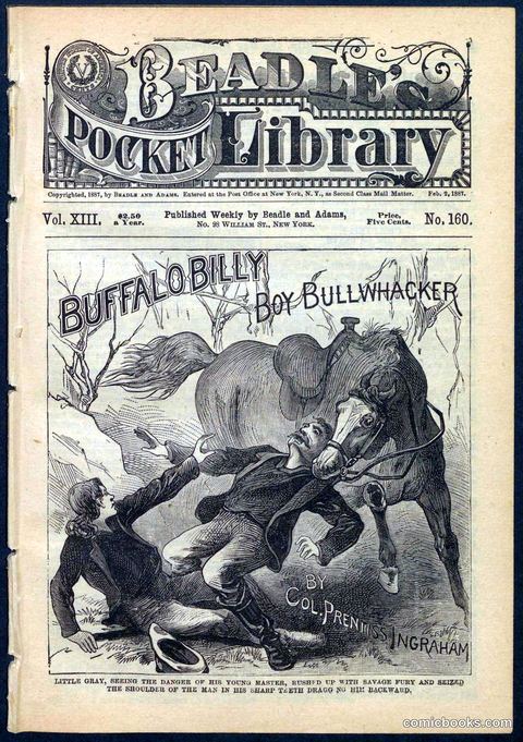 Beadle's Pocket Library No. 160