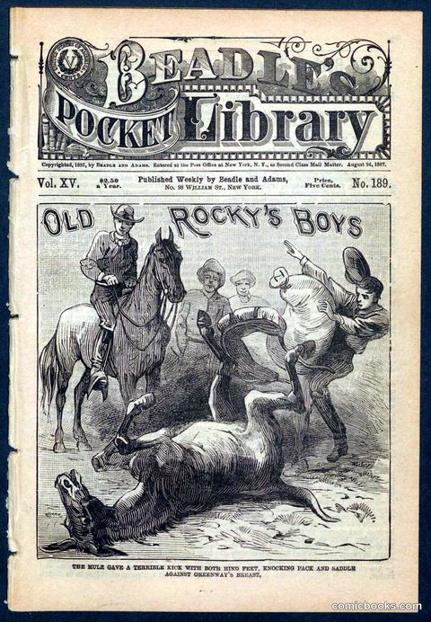 Beadle's Pocket Library No. 189