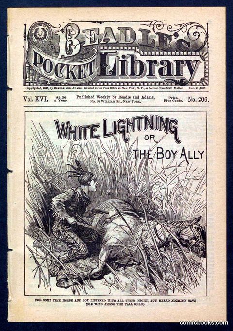 Beadle's Pocket Library No. 206