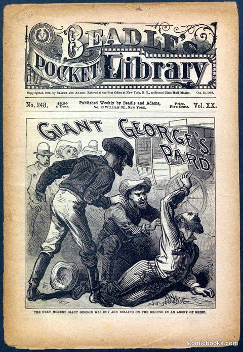 Beadle's Pocket Library No. 248