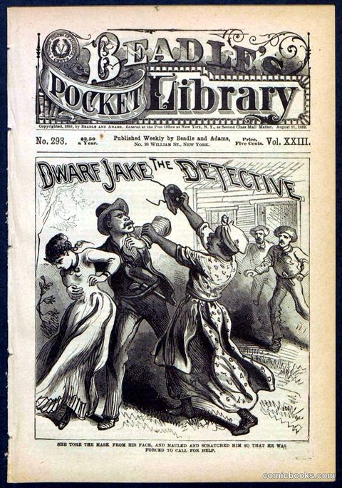 Beadle's Pocket Library No. 293
