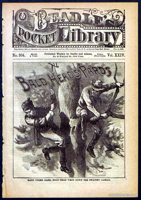 Beadle's Pocket Library No. 304
