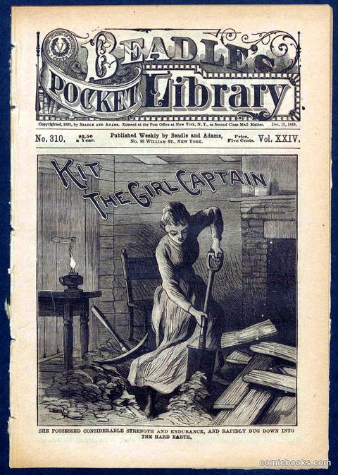 Beadle's Pocket Library No. 310