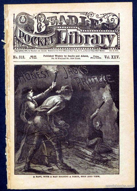 Beadle's Pocket Library No. 313