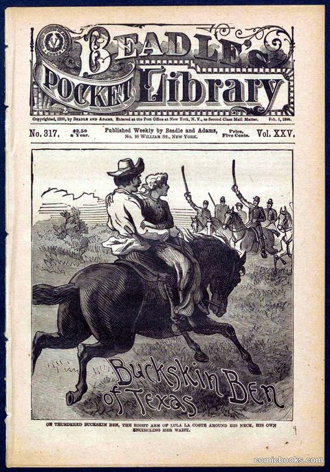 Beadle's Pocket Library No. 317