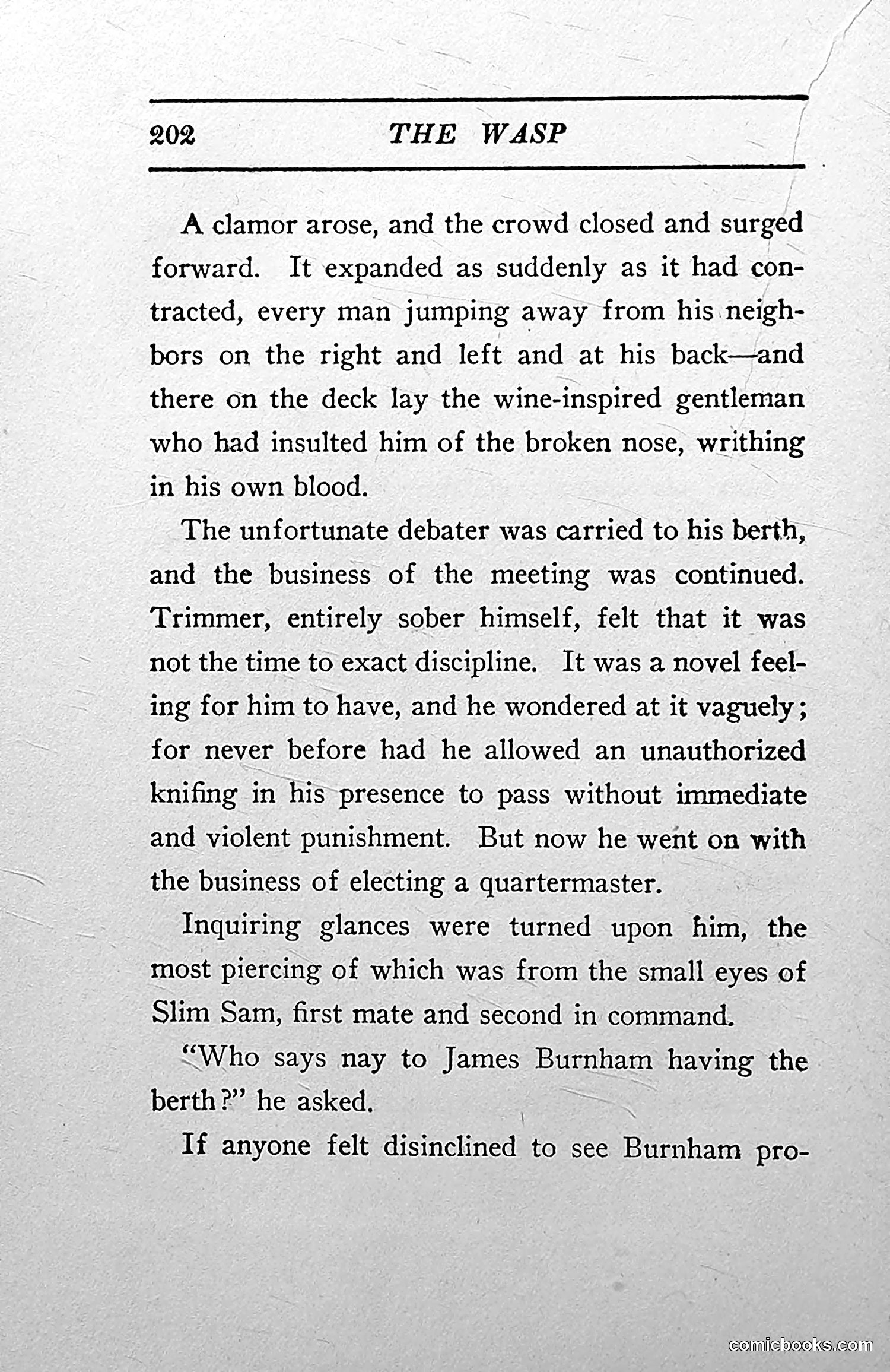 The Wasp — 1913 — page 207 of 364