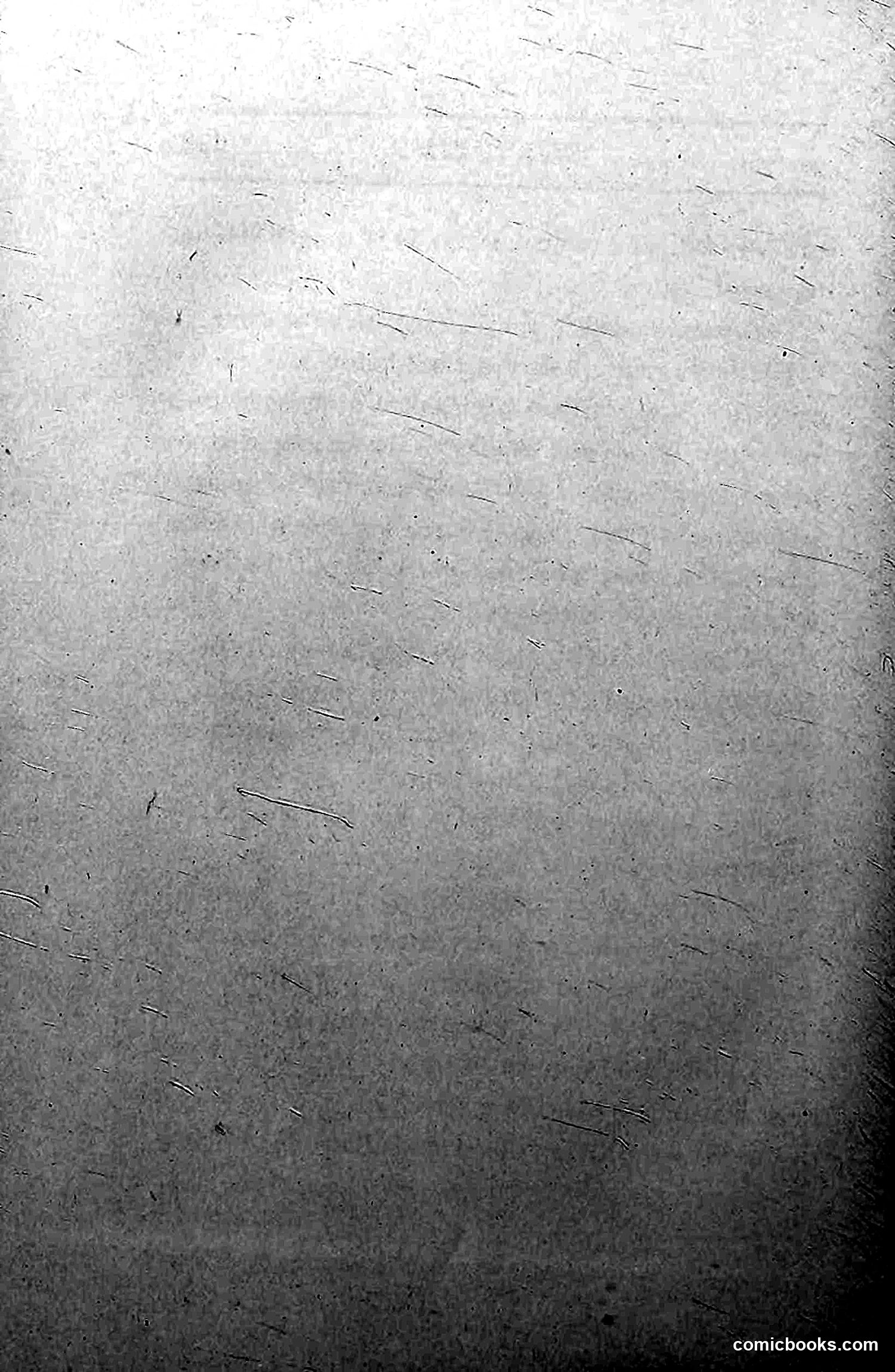 The Wasp — 1913 — page 303 of 364