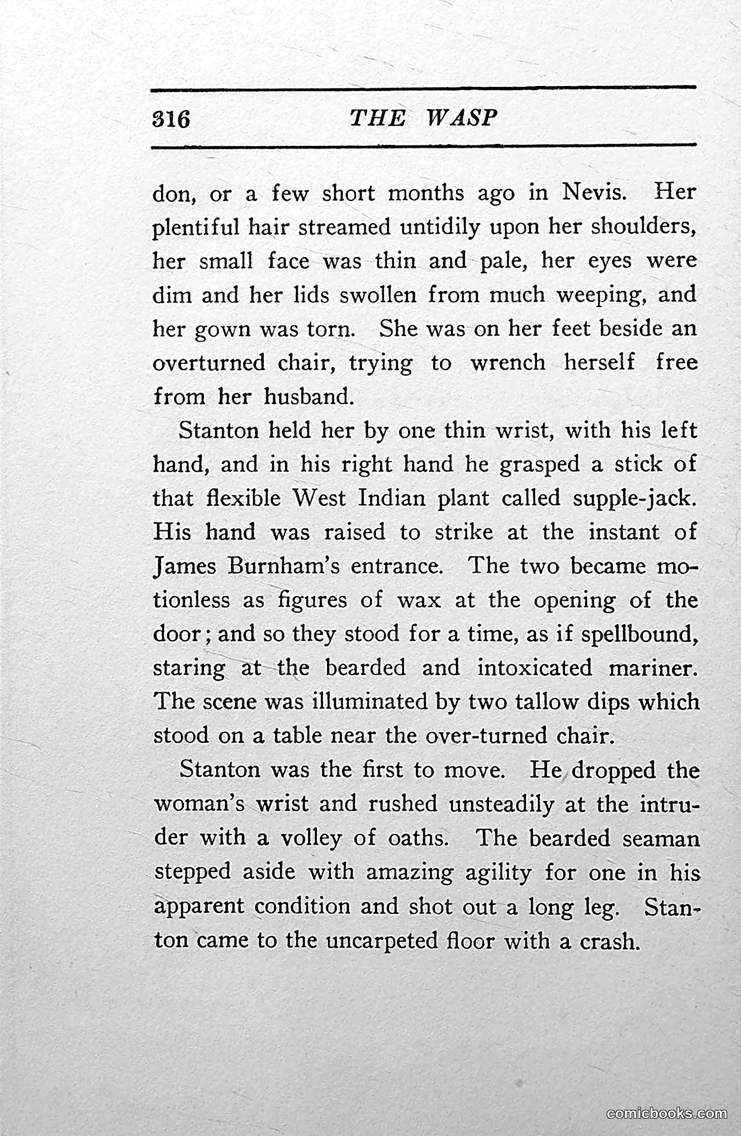 The Wasp — 1913 — page 323 of 364