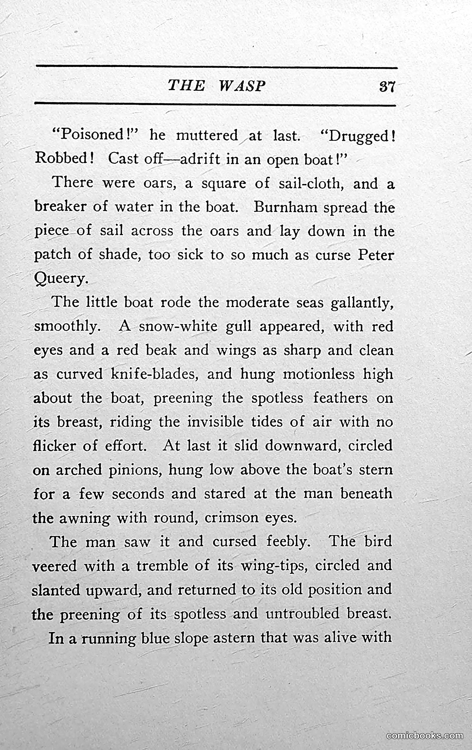 The Wasp — 1913 — page 38 of 364