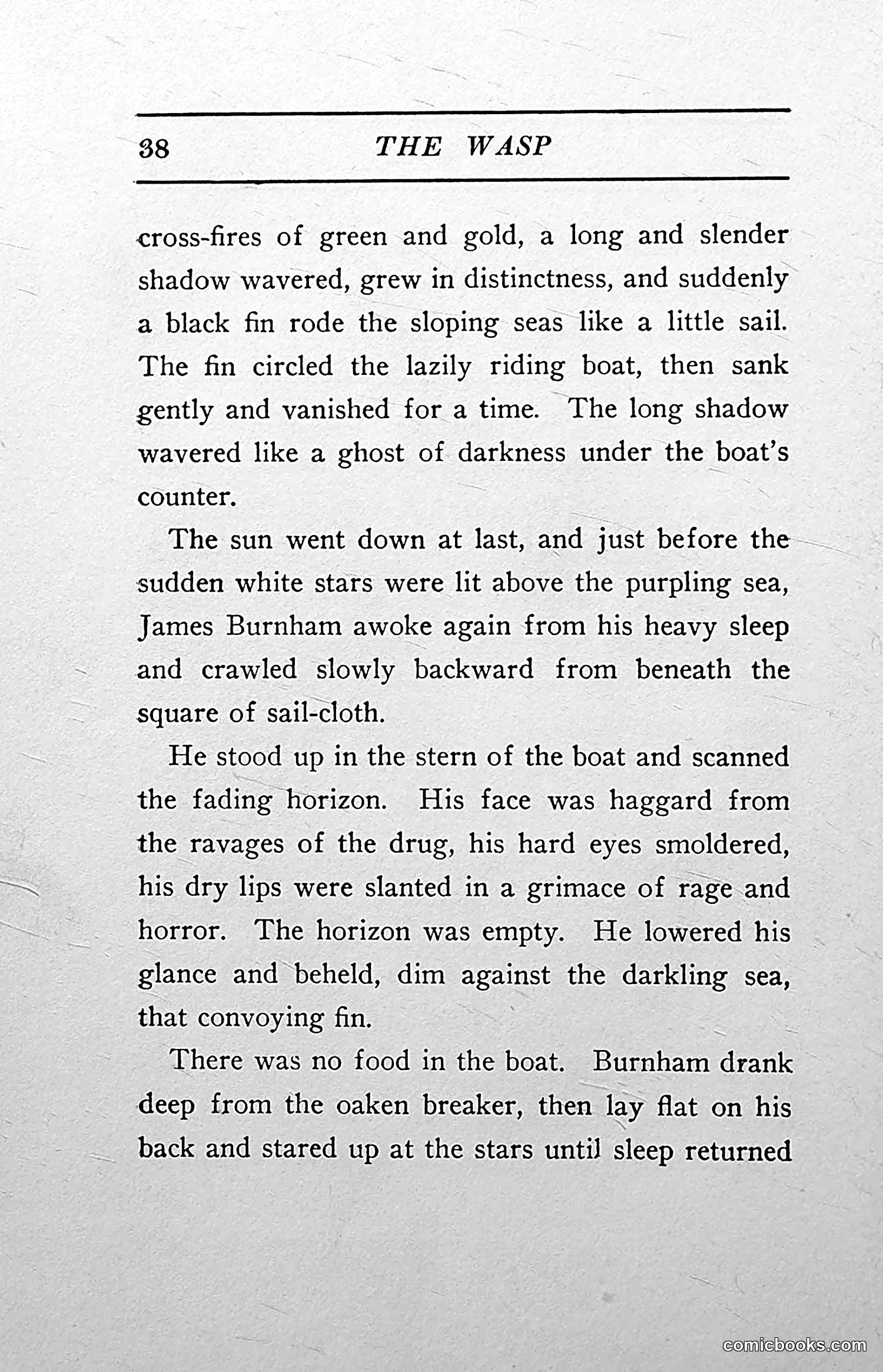 The Wasp — 1913 — page 39 of 364