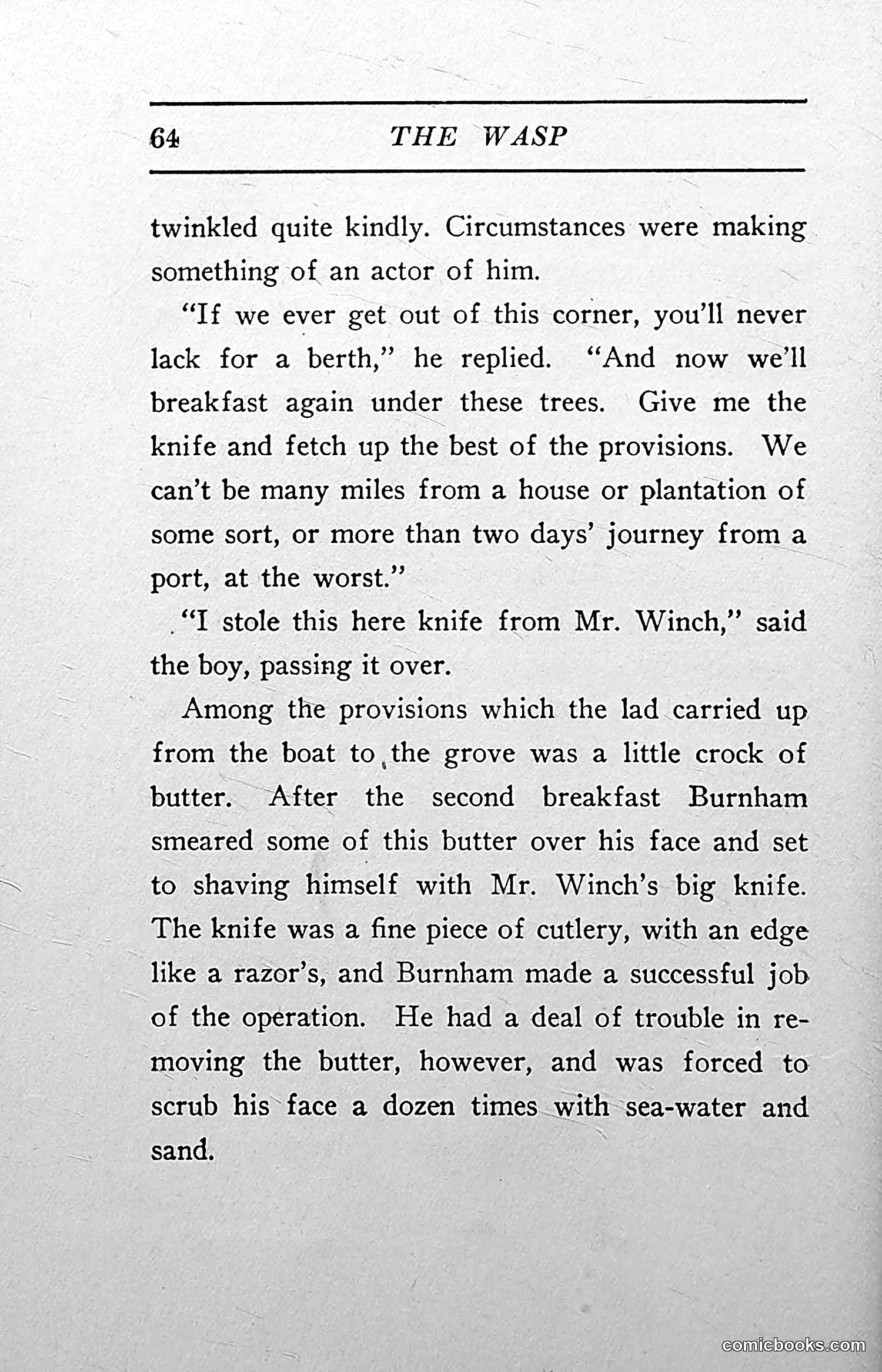 The Wasp — 1913 — page 65 of 364