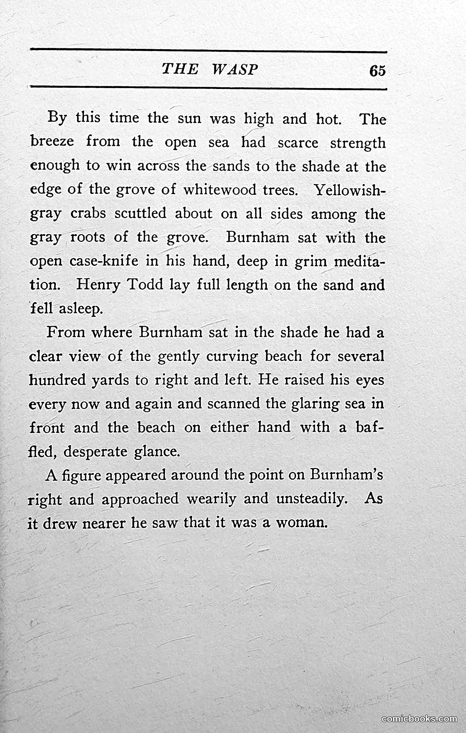 The Wasp — 1913 — page 66 of 364