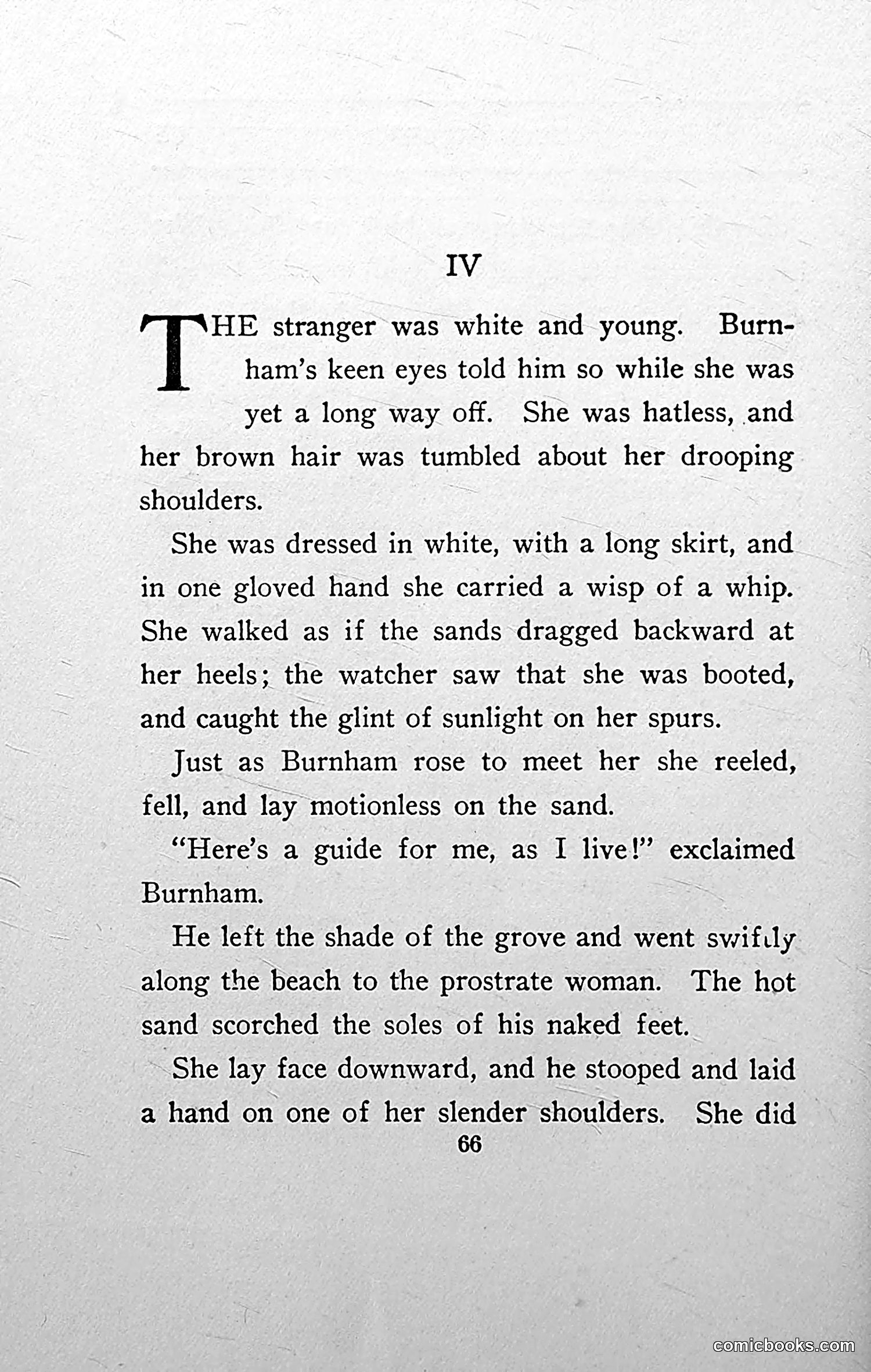 The Wasp — 1913 — page 67 of 364