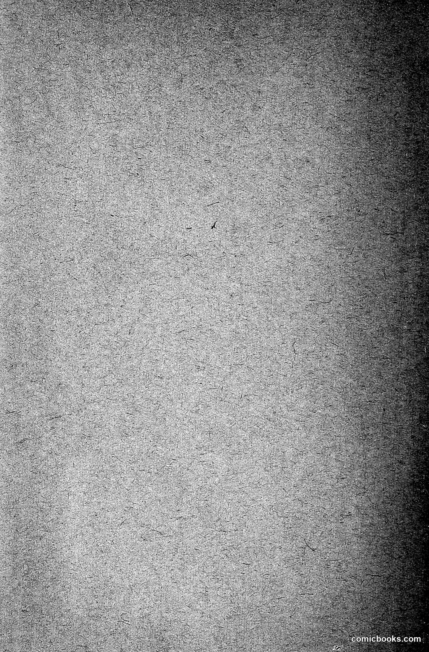 The Wasp — 1918 — page 325 of 330