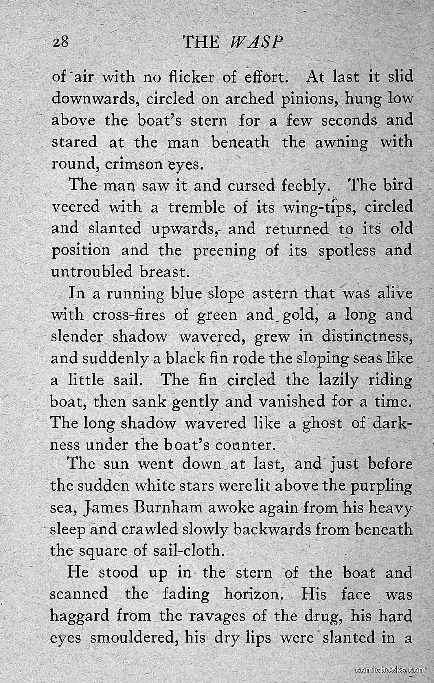 The Wasp — 1918 — page 37 of 330