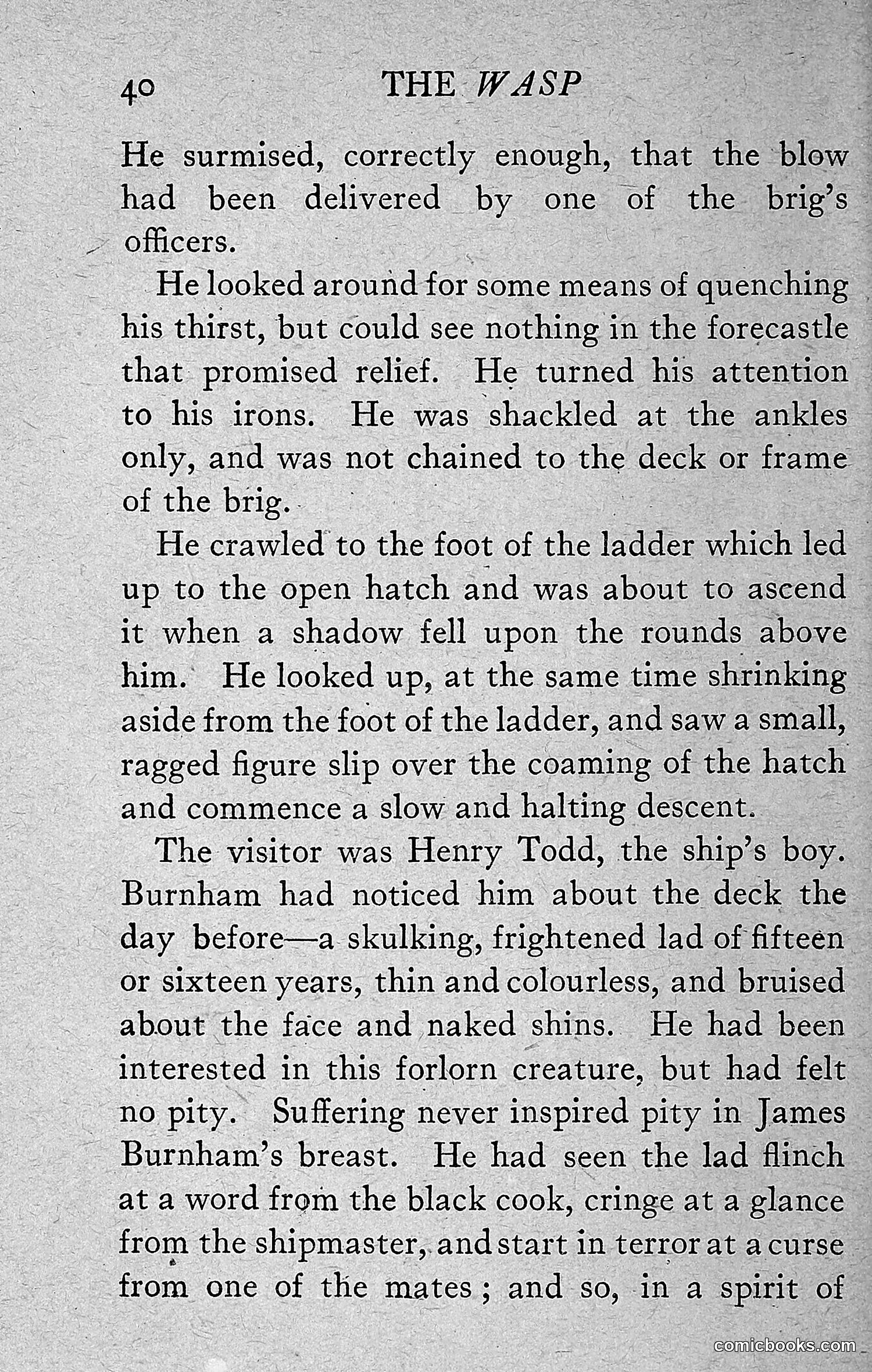 The Wasp — 1918 — page 49 of 330