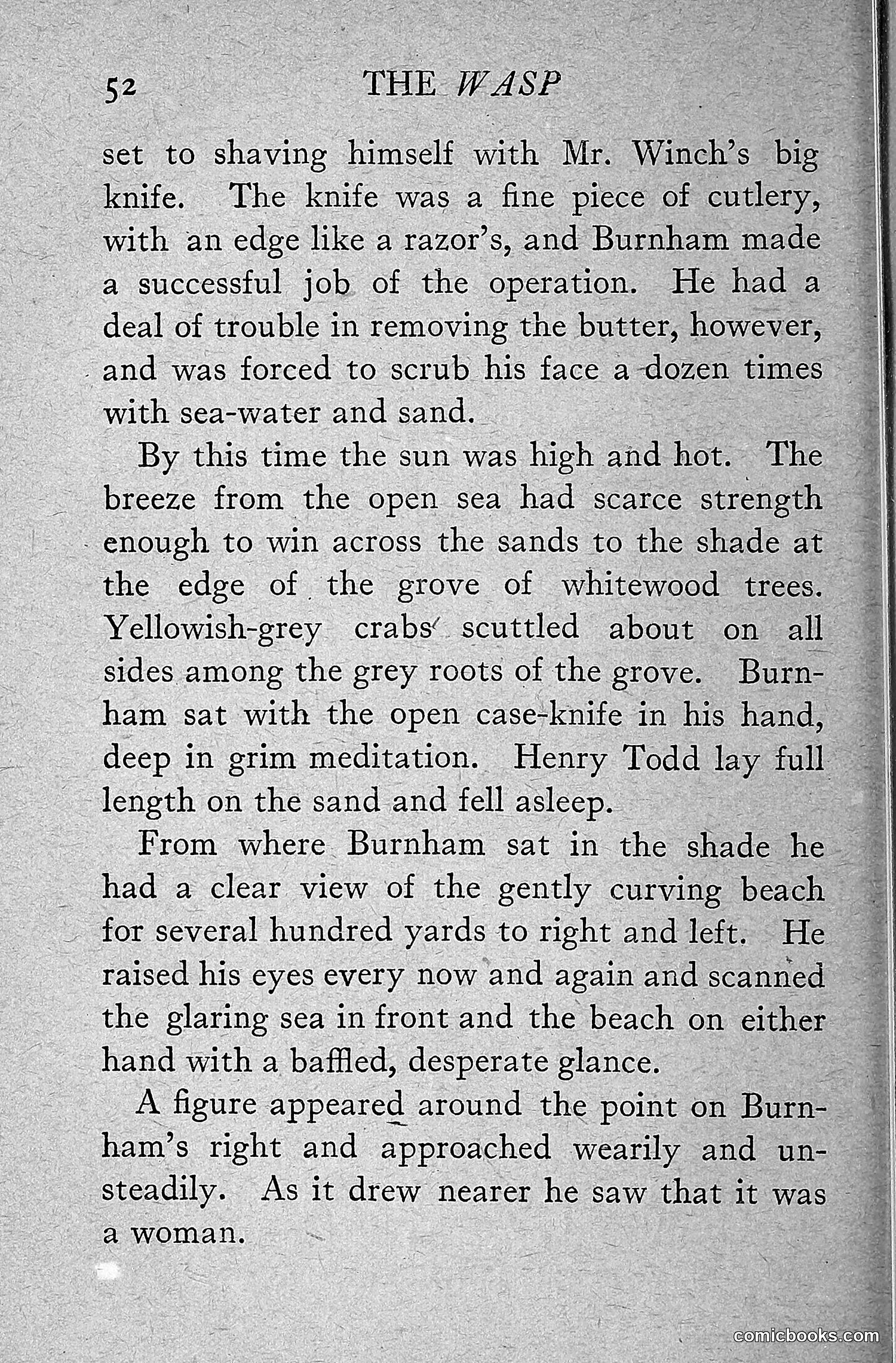 The Wasp — 1918 — page 61 of 330