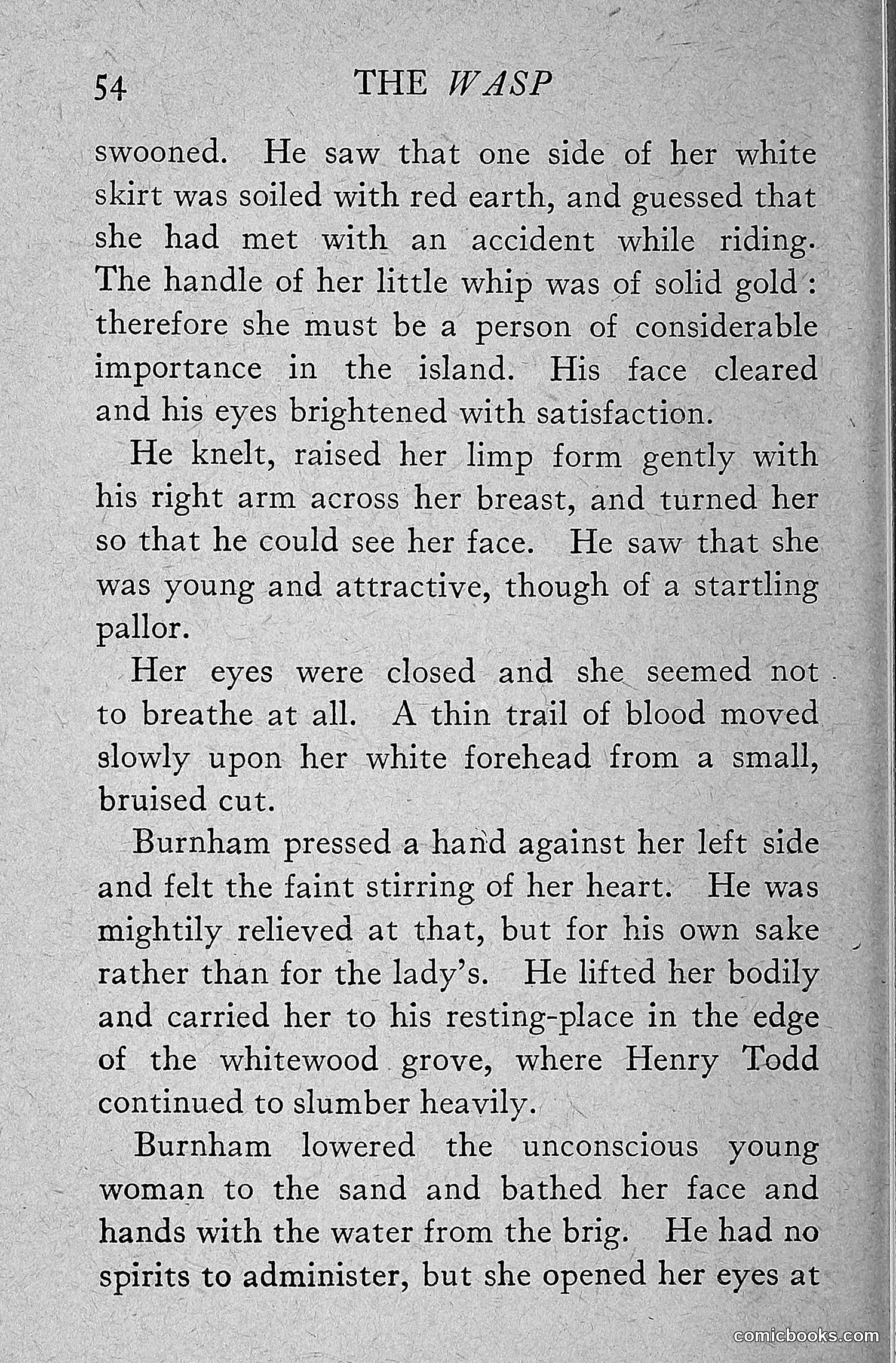 The Wasp — 1918 — page 63 of 330