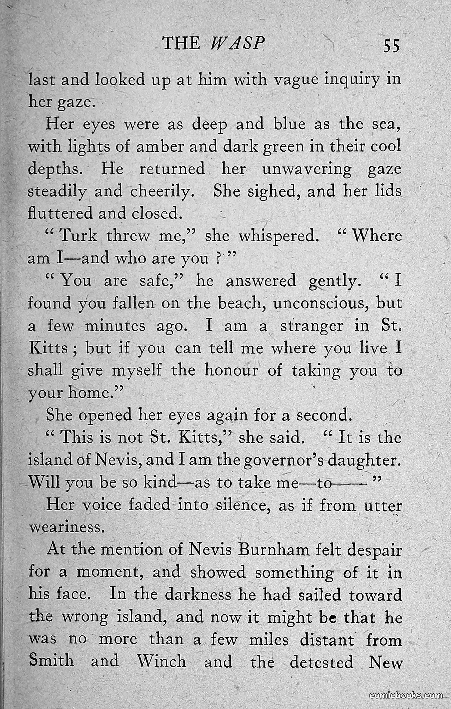 The Wasp — 1918 — page 64 of 330
