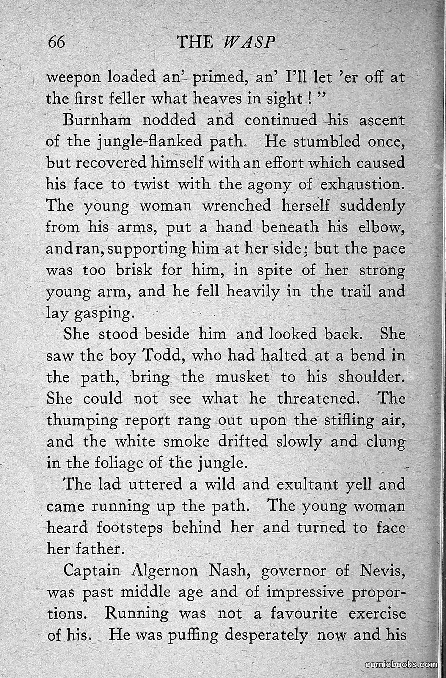 The Wasp — 1918 — page 75 of 330