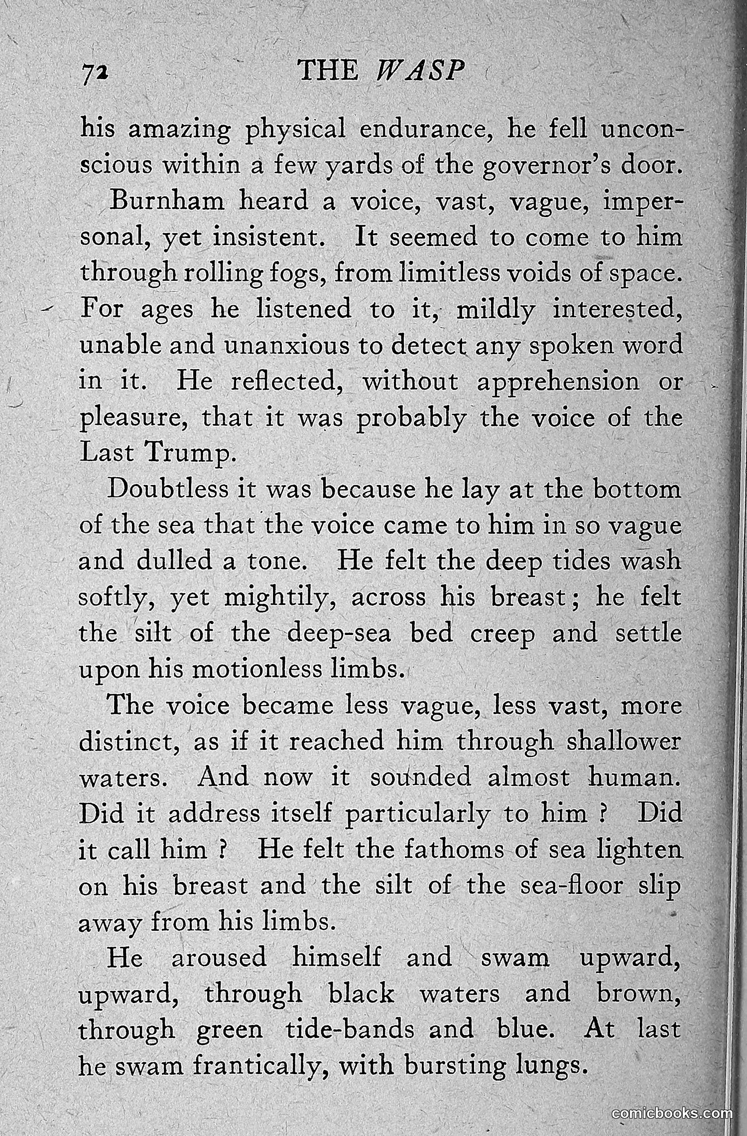 The Wasp — 1918 — page 81 of 330