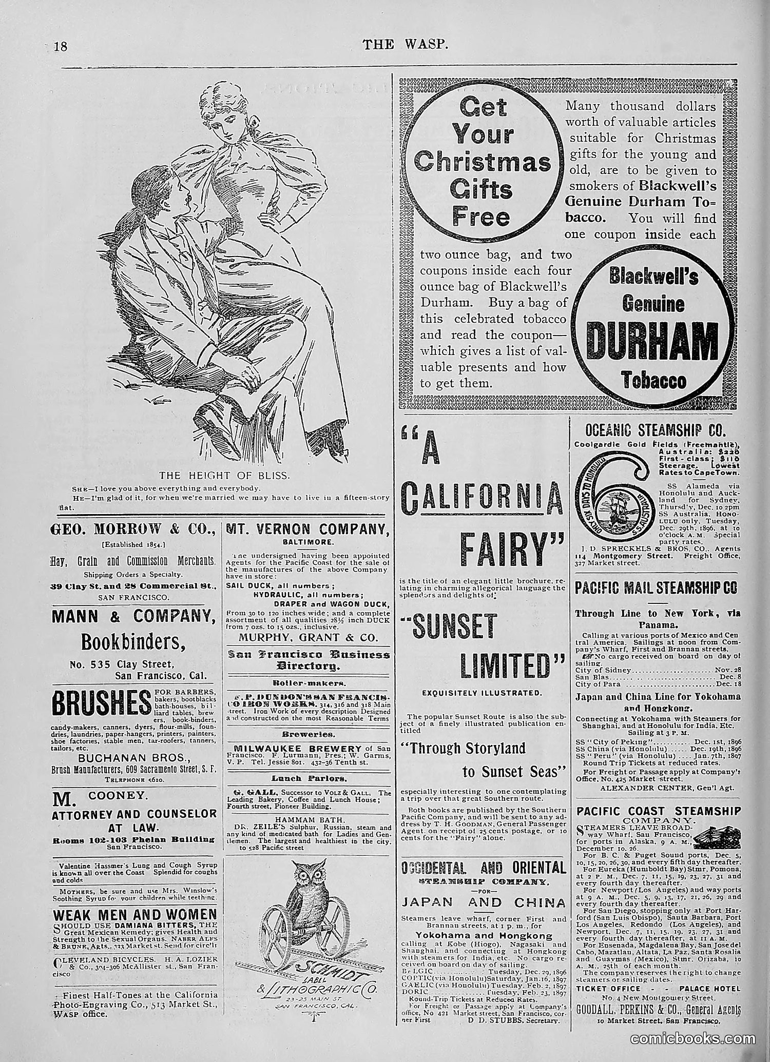 The Wasp — 1896 — page 1005 of 1082