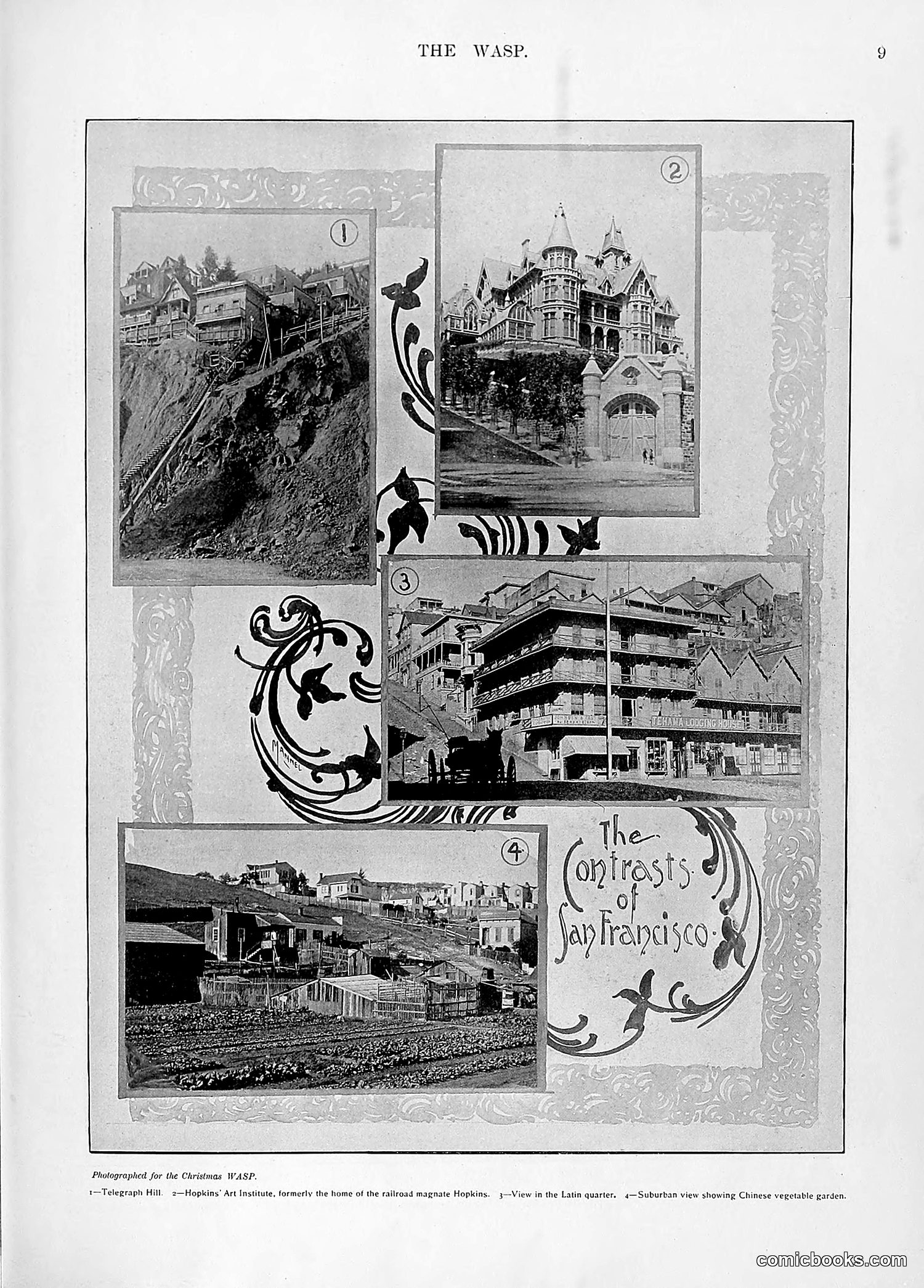 The Wasp — 1896 — page 1018 of 1082