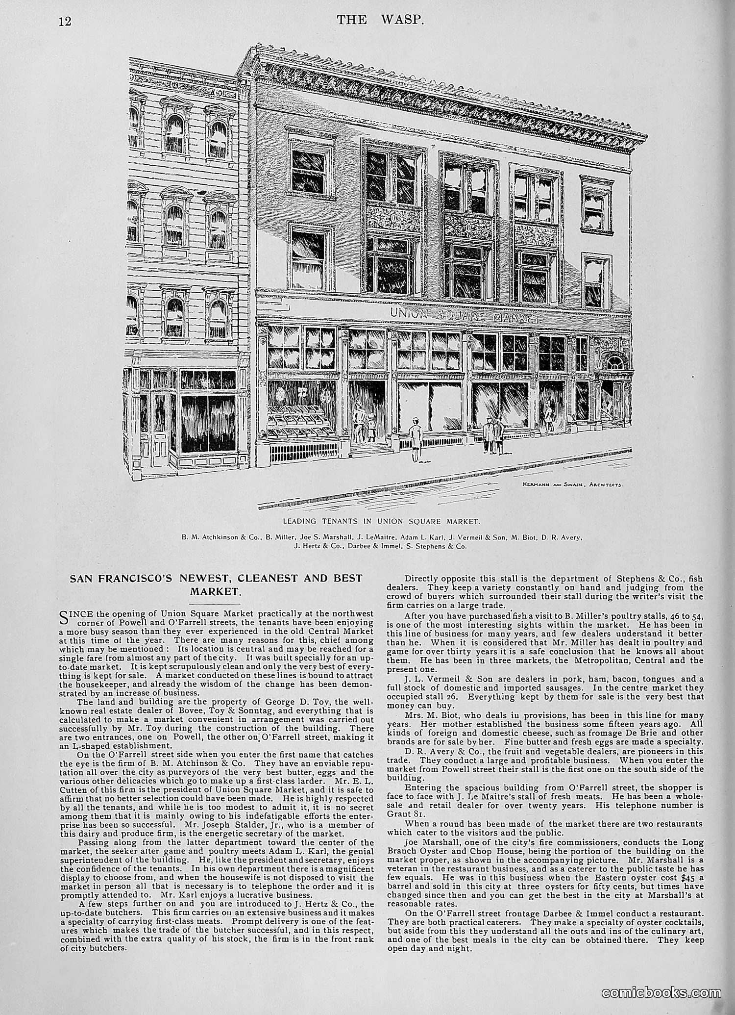 The Wasp — 1896 — page 1021 of 1082