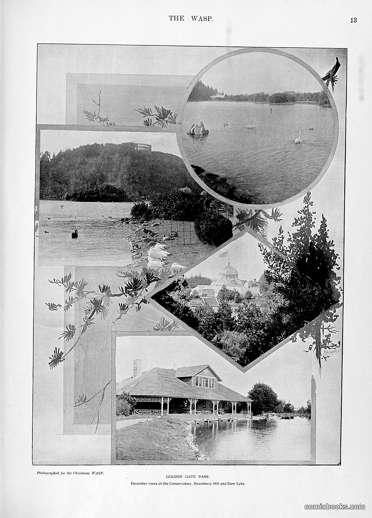 The Wasp — 1896 — page 1022 of 1082