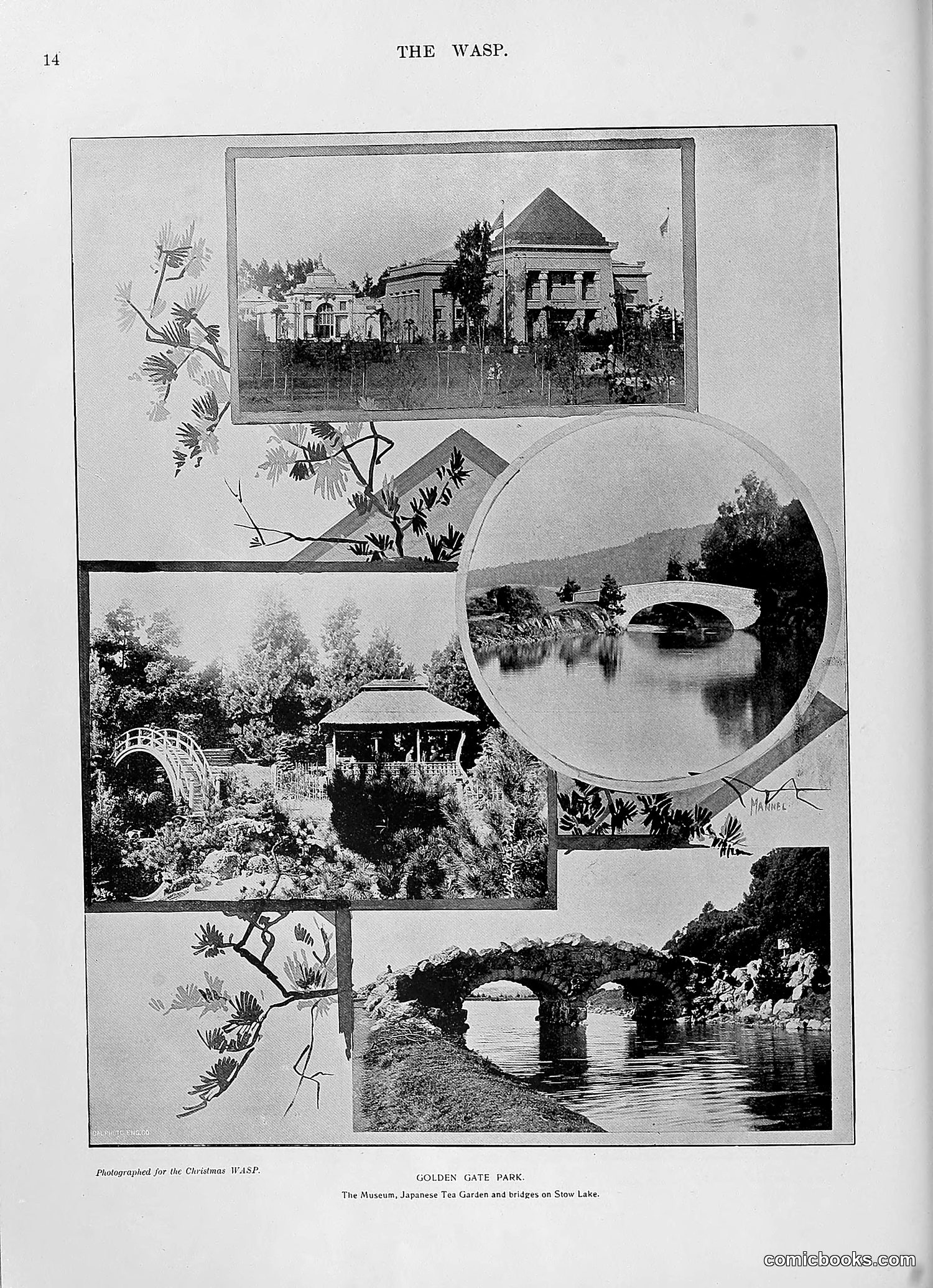 The Wasp — 1896 — page 1023 of 1082