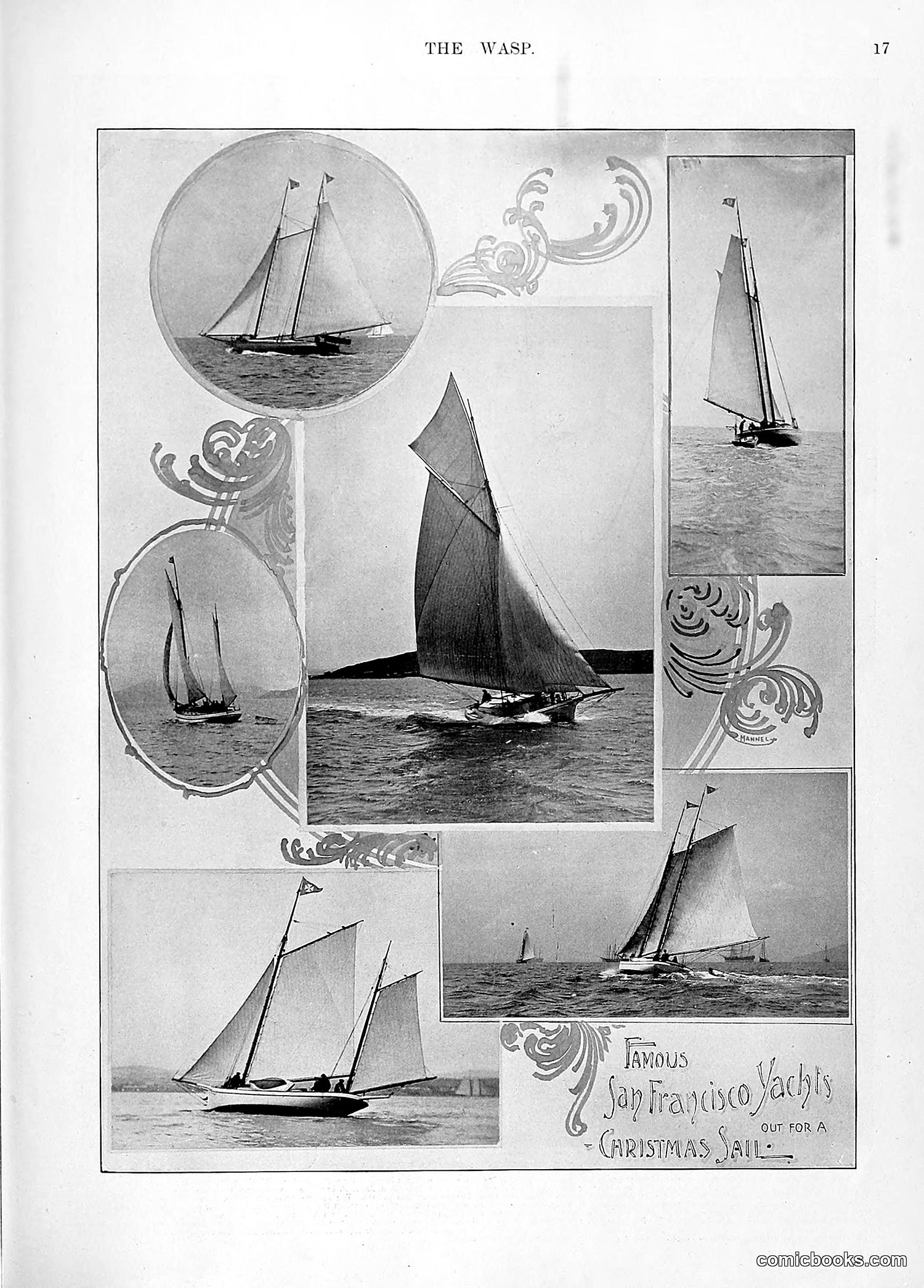The Wasp — 1896 — page 1026 of 1082