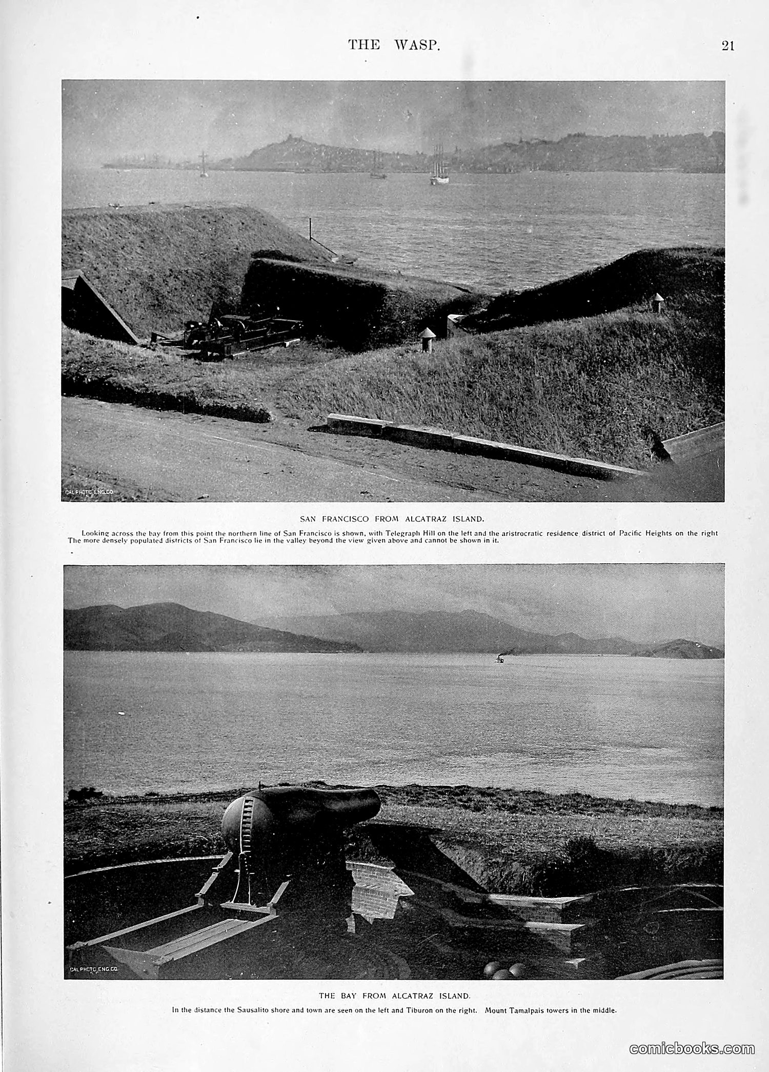 The Wasp — 1896 — page 1030 of 1082